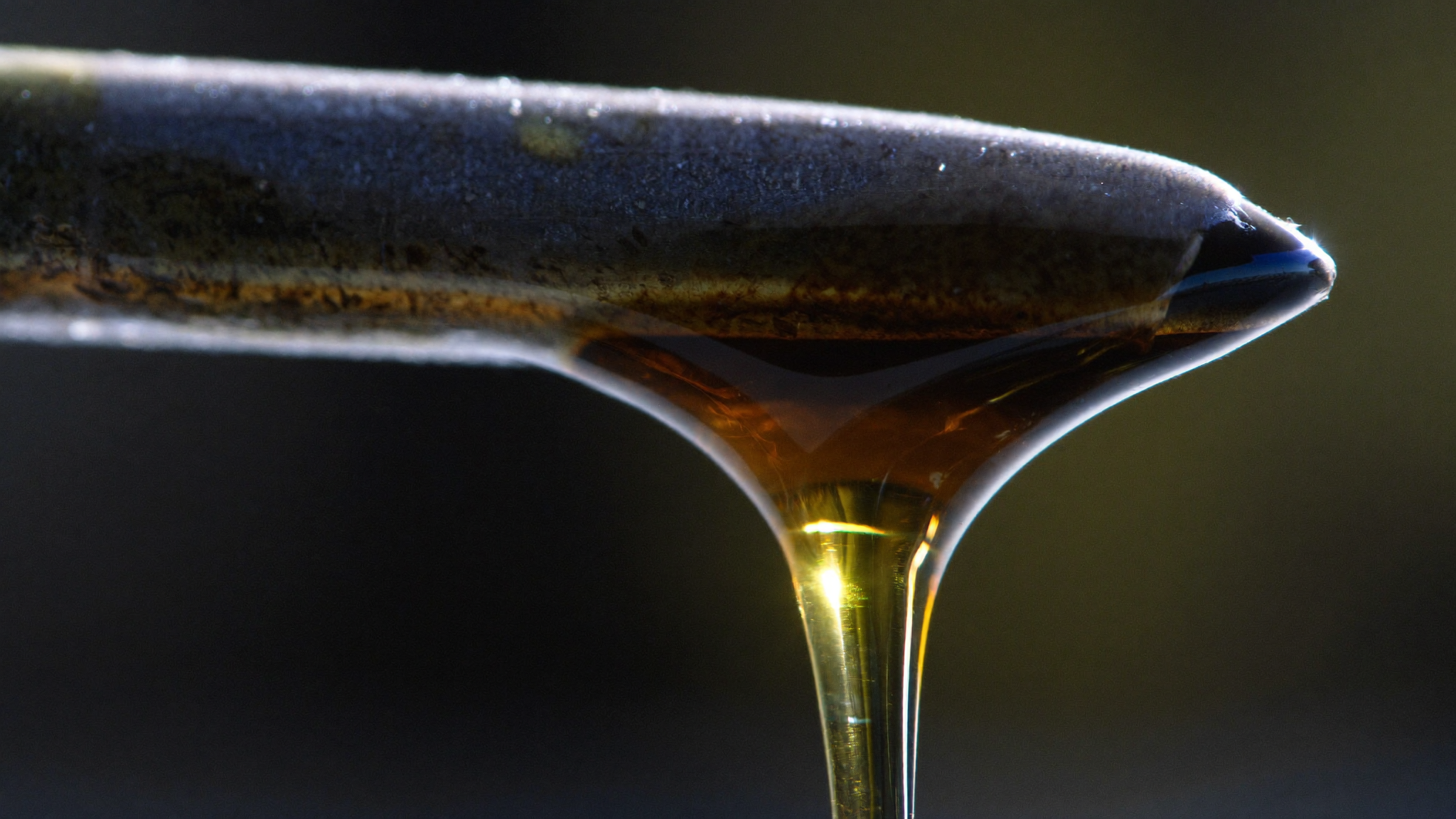 Olio motore: quando il colore ti dice che è ora di cambiarlo — Officina Tano Evoluzione, Sacrofano